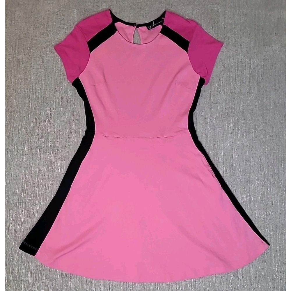 New York And Company Pink & Black Color Block Fit & Flare Womens Small Dress - Picture 2 of 14